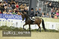24R13_09788 thumbnail