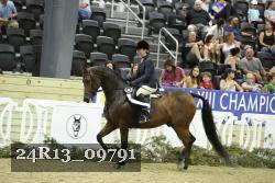 24R13_09791 thumbnail