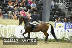 24R13_09792 thumbnail