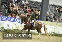 24R13_09795 thumbnail