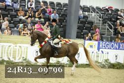 24R13_09796 thumbnail