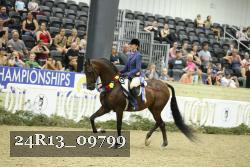 24R13_09799 thumbnail