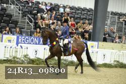 24R13_09800 thumbnail