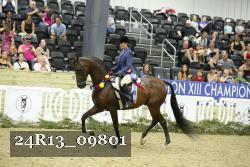 24R13_09801 thumbnail