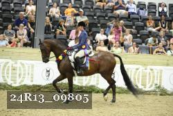 24R13_09805 thumbnail