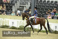 24R13_09807 thumbnail