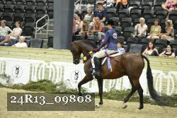 24R13_09808 thumbnail