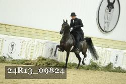 24R13_09824 thumbnail