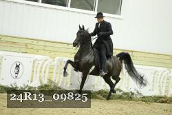 24R13_09825 thumbnail