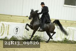 24R13_09826 thumbnail