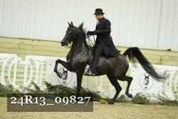24R13_09827 thumbnail