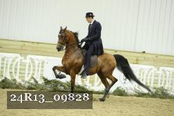 24R13_09828 thumbnail