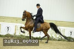 24R13_09829 thumbnail