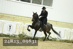 24R13_09831 thumbnail