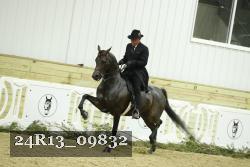 24R13_09832 thumbnail