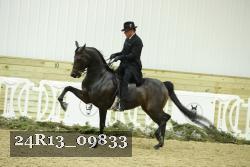 24R13_09833 thumbnail