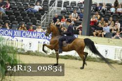 24R13_09834 thumbnail