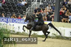 24R13_09835 thumbnail