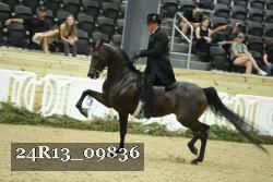 24R13_09836 thumbnail
