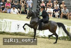 24R13_09837 thumbnail