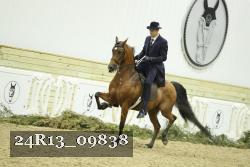 24R13_09838 thumbnail