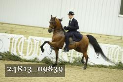 24R13_09839 thumbnail
