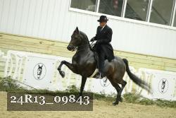 24R13_09843 thumbnail