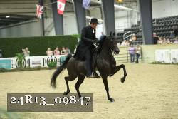 24R13_09847 thumbnail