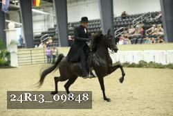 24R13_09848 thumbnail
