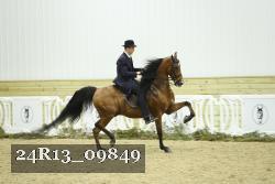24R13_09849 thumbnail