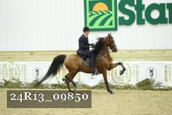 24R13_09850 thumbnail