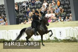 24R13_09851 thumbnail