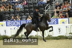 24R13_09852 thumbnail