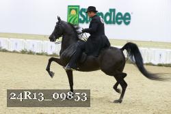 24R13_09853 thumbnail