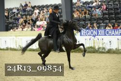24R13_09854 thumbnail