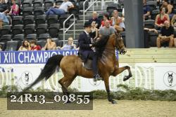 24R13_09855 thumbnail