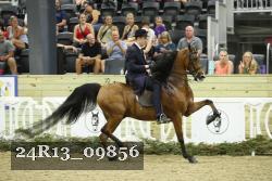 24R13_09856 thumbnail