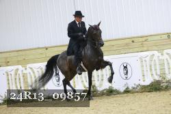24R13_09857 thumbnail