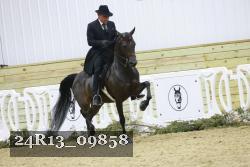 24R13_09858 thumbnail