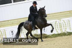 24R13_09859 thumbnail