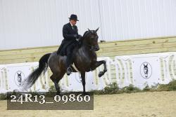 24R13_09860 thumbnail