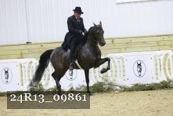 24R13_09861 thumbnail