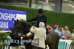 24R13_09864 thumbnail