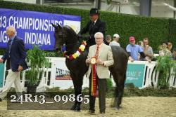 24R13_09865 thumbnail