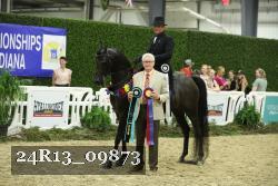 24R13_09873 thumbnail