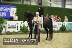 24R13_09875 thumbnail