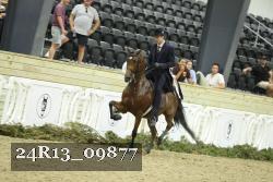 24R13_09877 thumbnail