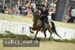 24R13_09878 thumbnail