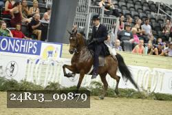 24R13_09879 thumbnail
