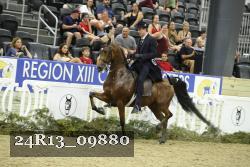 24R13_09880 thumbnail